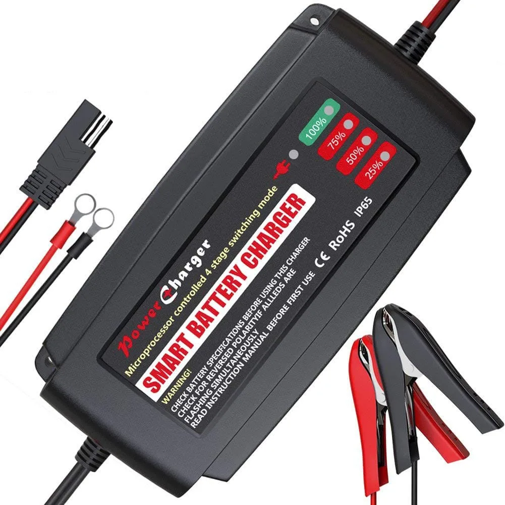 BMK trickle charger review